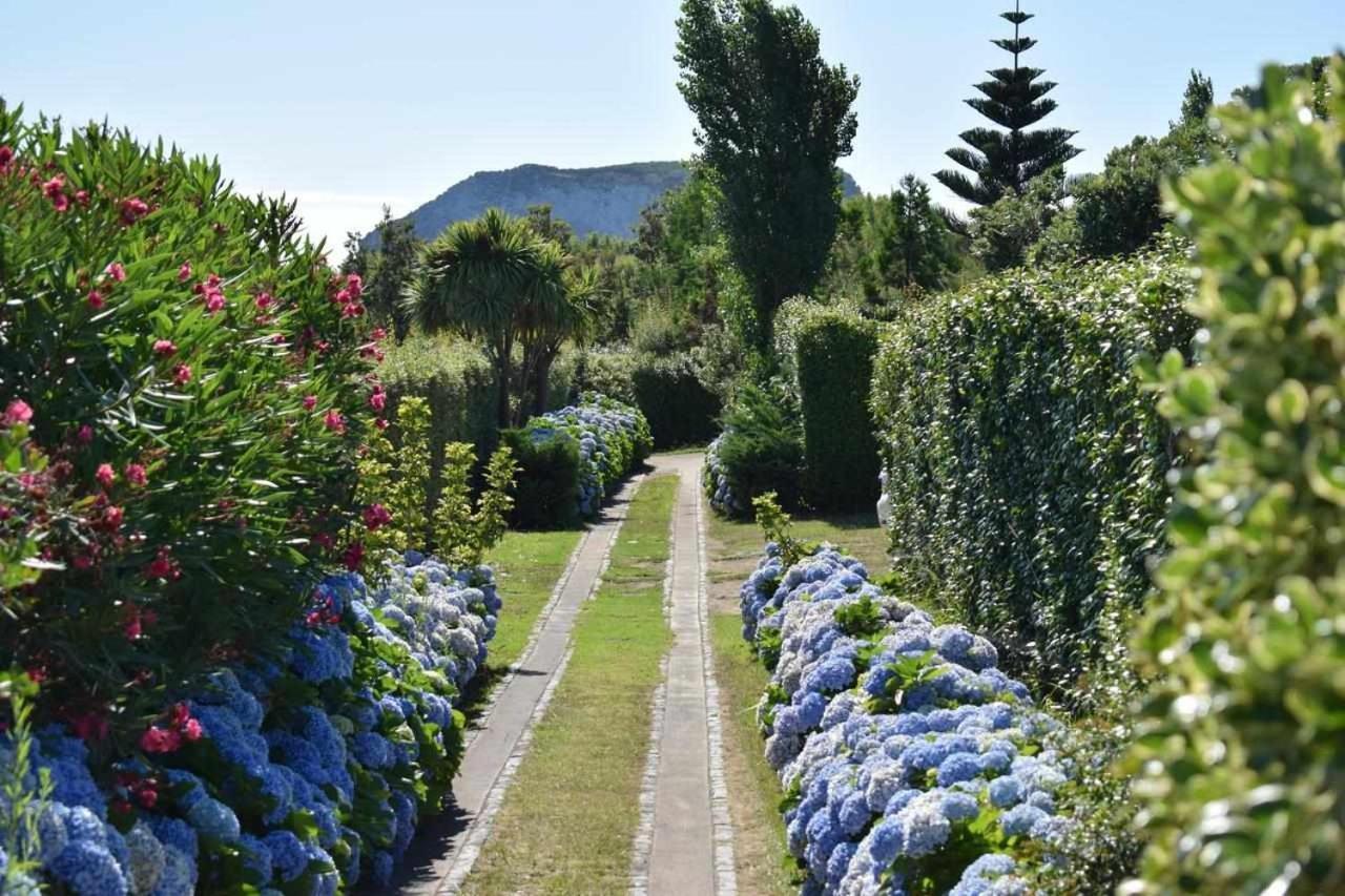 Quinta Da Meia Eira Castelo Branco  Kültér fotó