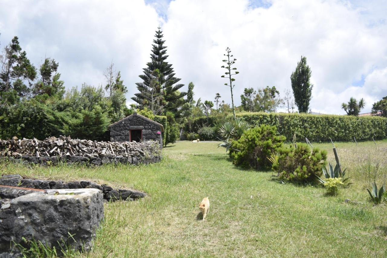 Quinta Da Meia Eira Castelo Branco  Kültér fotó