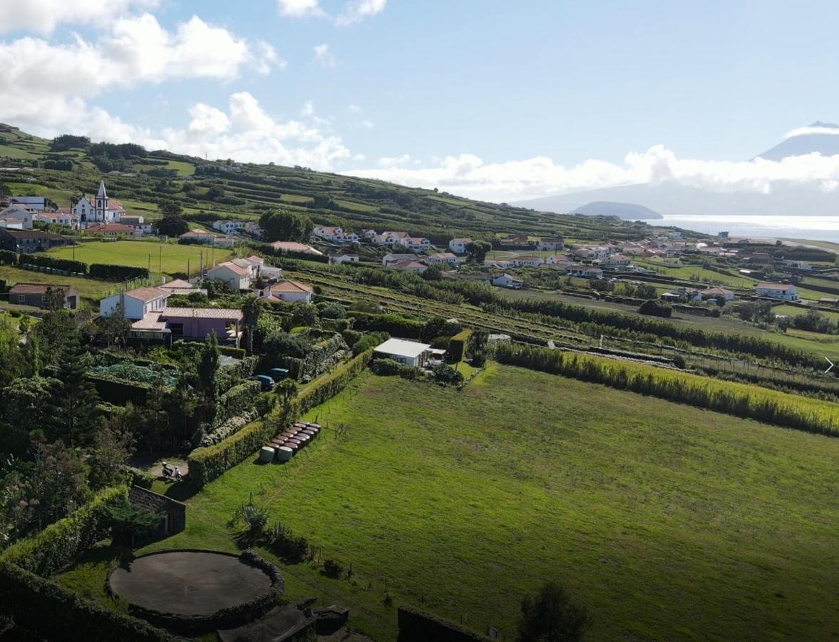 Quinta Da Meia Eira Castelo Branco  Kültér fotó