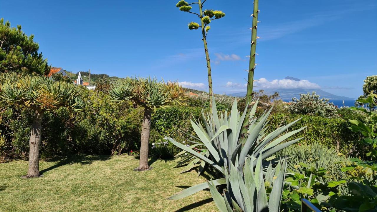 Quinta Da Meia Eira Castelo Branco  Kültér fotó